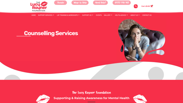 Screenshot of the The Lucy Rayner Foundation website