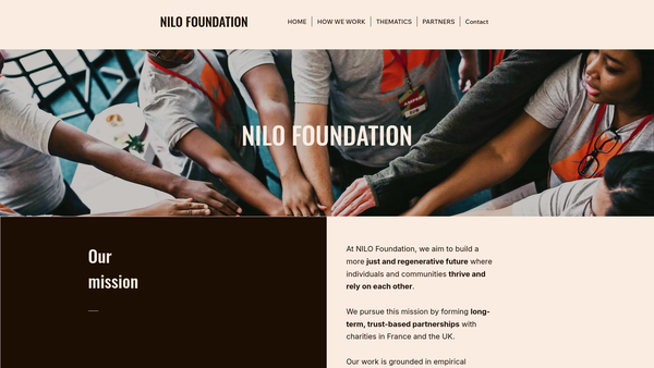 Screenshot of the Nilo Foundation website