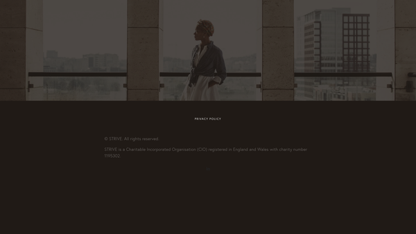 Screenshot of the Strive website