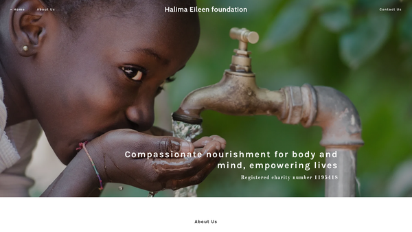 Screenshot of the The Halima Eileen Foundation For Children website