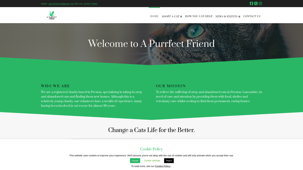 Screenshot of the A Purrfect Friend website