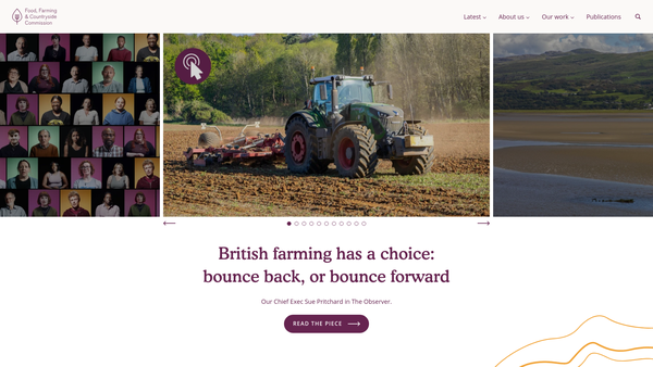 Screenshot of the Ffcc Limited website