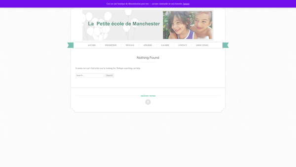 Screenshot of the La Petite Ecole De Manchester website