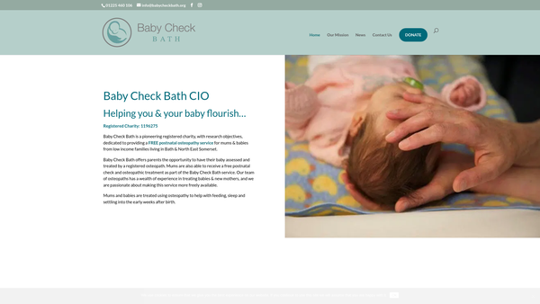 Screenshot of the Baby Check Bath CIO website