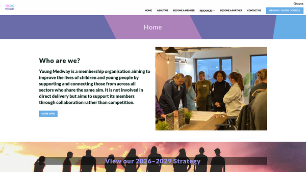 Screenshot of the Young Medway website