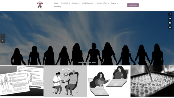 Screenshot of the Metupuk website