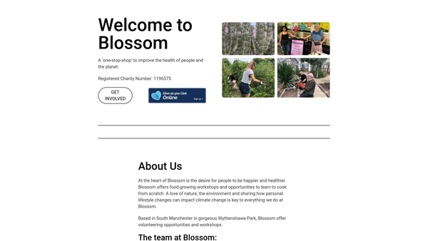 Screenshot of the Blossom - Health Through Activity website