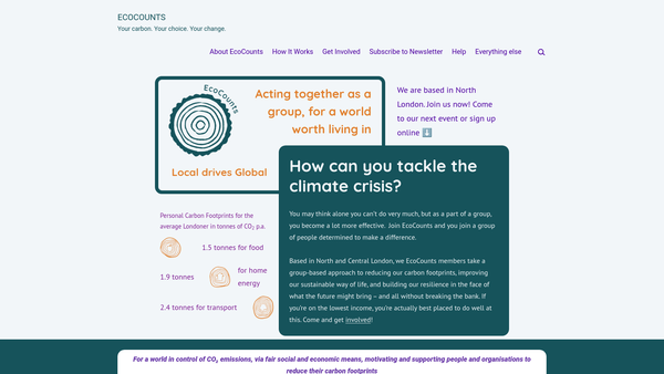 Screenshot of the Ecocounts website