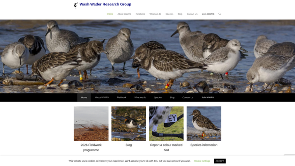 Screenshot of the Wash Wader Research Group website