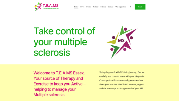 Screenshot of the T.e.a.ms website