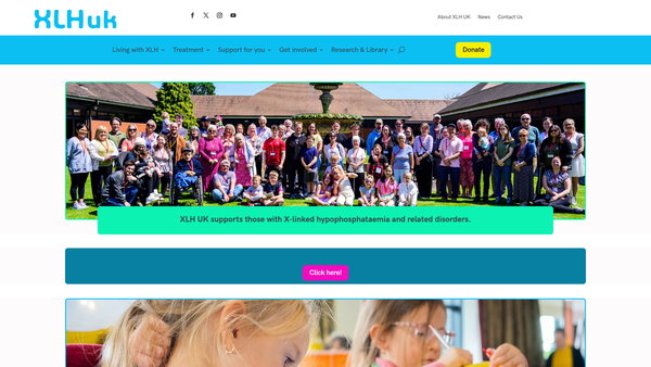 Screenshot of the Xlh UK website