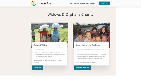 Screenshot of the The Overseas Welfare Society UK website