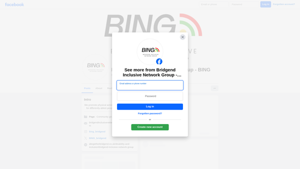 Screenshot of the Bridgend Inclusive Network Group (Bing) website