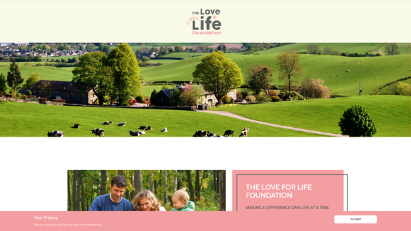 Screenshot of the The Love For Life Foundation website