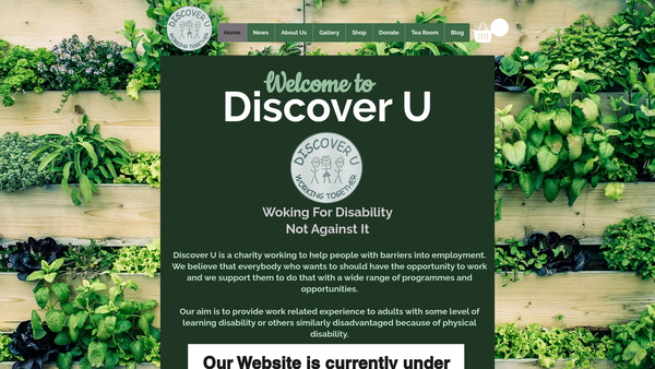 Screenshot of the Discoveru website