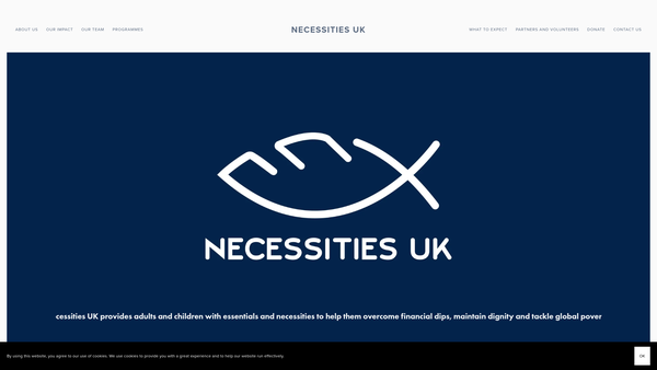 Screenshot of the Necessities UK website