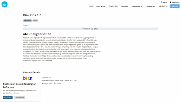 Screenshot of the Rise Kids CIO website