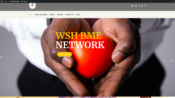 Screenshot of the Wsh Bme Kidney Network website