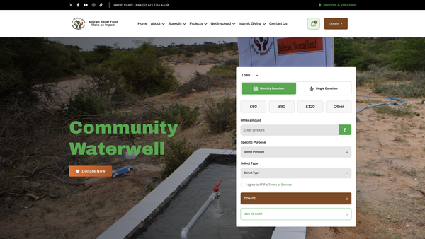 Screenshot of the African Relief Fund website