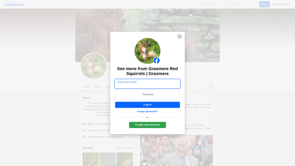 Screenshot of the Grasmere Red Squirrel Group website