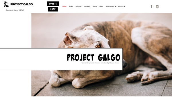 Screenshot of the Project Galgo website