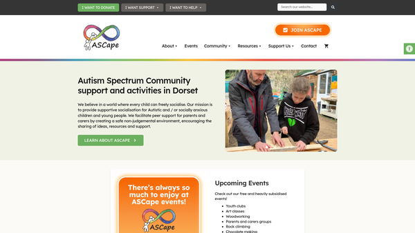 Screenshot of the Ascape website