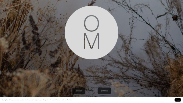 Screenshot of the Oriel Myrddin website