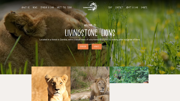 Screenshot of the Livingstone Lions website