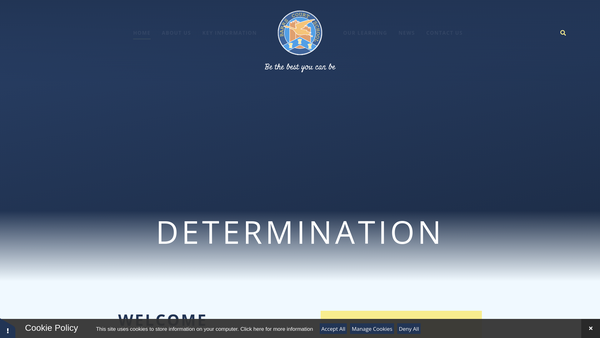 Screenshot of the Barrs Court Primary Parent Teacher And Friends Association website