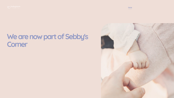 Screenshot of the Baby Bank Herts website