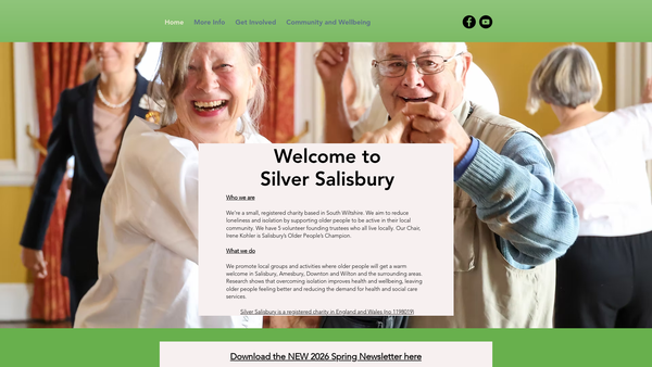Screenshot of the Silver Salisbury Group website