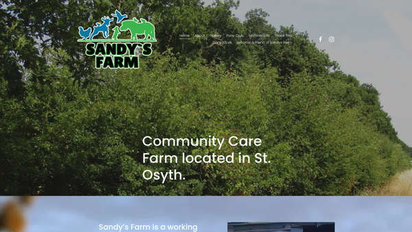 Screenshot of the Sandy's Farm website