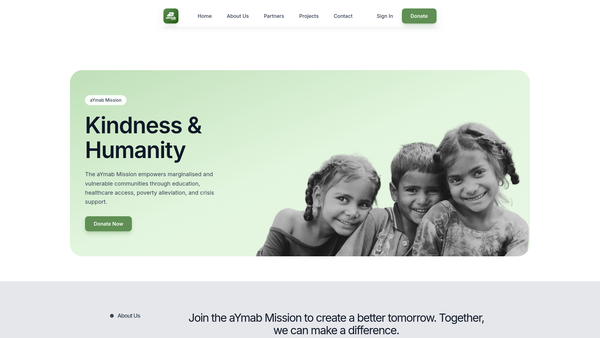Screenshot of the Aymab Mission website