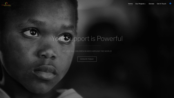 Screenshot of the Living Joy Ltd website