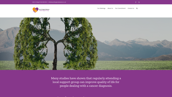 Screenshot of the East Of England Asbestos Patient Support Group website