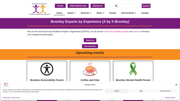 Screenshot of the Bromley Experts By Experience website