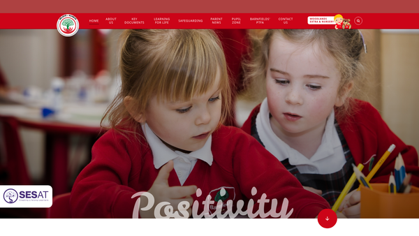 Screenshot of the Woodlands Extra website