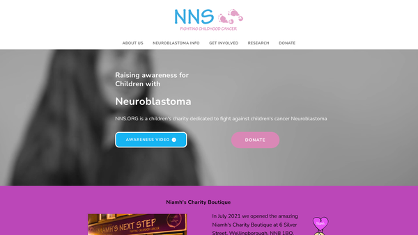 Screenshot of the Niamh's Next Step CIO website