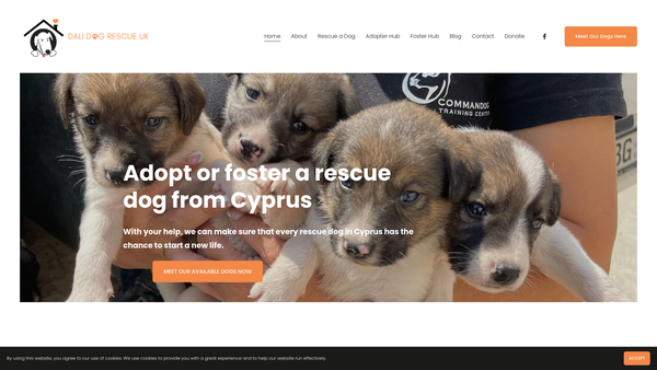 Screenshot of the Dali Dog Rescue UK website