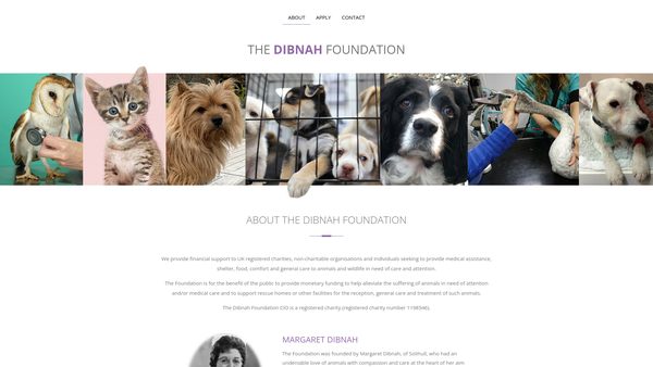 Screenshot of the The Dibnah Foundation CIO website