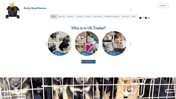 Screenshot of the Rocky Road Rescue UK Ltd website