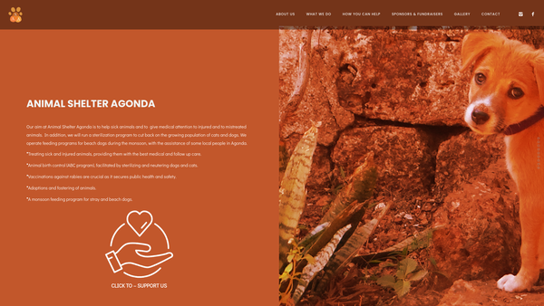 Screenshot of the Animal Shelter Agonda UK website
