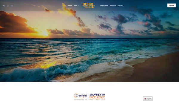Screenshot of the Angor website