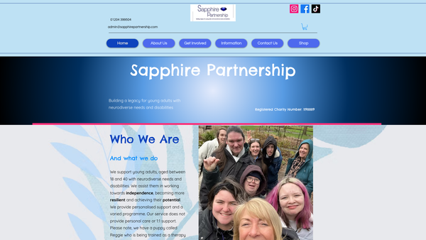 Screenshot of the Sapphire Partnership website