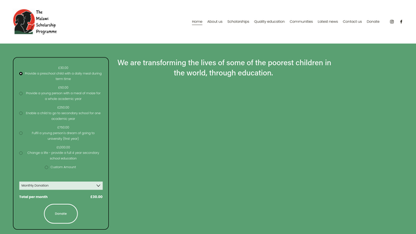 Screenshot of the The Malawi Scholarship Programme website
