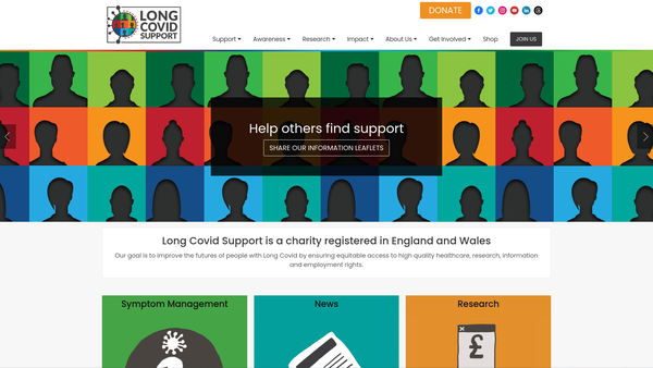 Screenshot of the Long Covid Support website