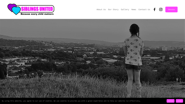 Screenshot of the Siblings United website