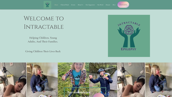 Screenshot of the Intractable Epilepsy website