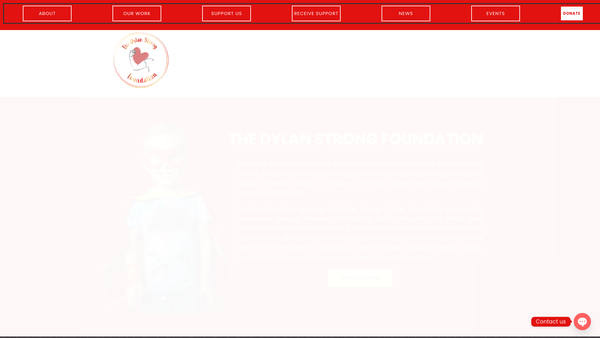 Screenshot of the The Dylan Strong Foundation website