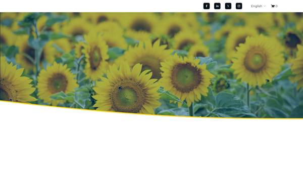 Screenshot of the Ukraine Appeal website